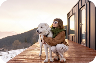 Tiny homes on wheels
